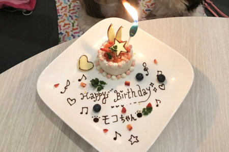 わんちゃんのお誕生日ケーキ