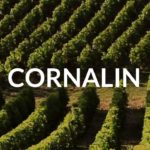 限定ワイン　Cornalin