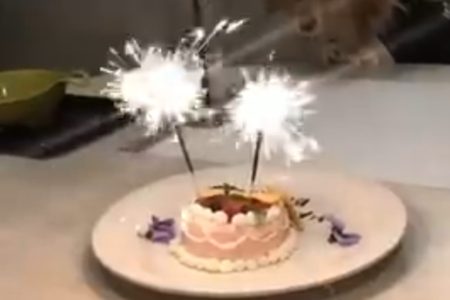 セントバーナードで、誕生日パーティをオリジナルケーキでお祝い(^_^)/