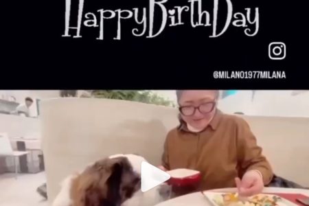当店で１歳のお誕生日を迎えられた セントバーナード犬のbeconくんの動画をいただきました。